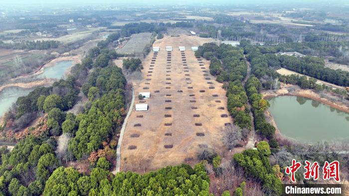熊家冢主冢及殉葬墓?！≈苄橇?攝