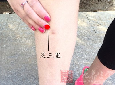 足三里實(shí)在是出鏡率太高