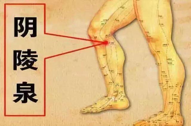 夏天多按摩這7大穴位，幫助你輕松健脾祛濕