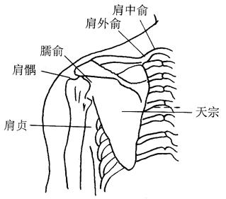 頸椎不舒服可別再拖了，這8種按摩法教給你，遠離頸椎病