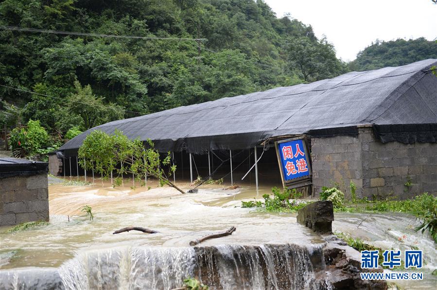7月6日，在澧縣甘溪灘鎮(zhèn)，一處養(yǎng)殖場遭受洪水侵襲。 近日，湖南省常德市澧縣出現(xiàn)強降雨天氣，造成部分地區(qū)農(nóng)田被淹。 新華社發(fā)（陳振海 攝）