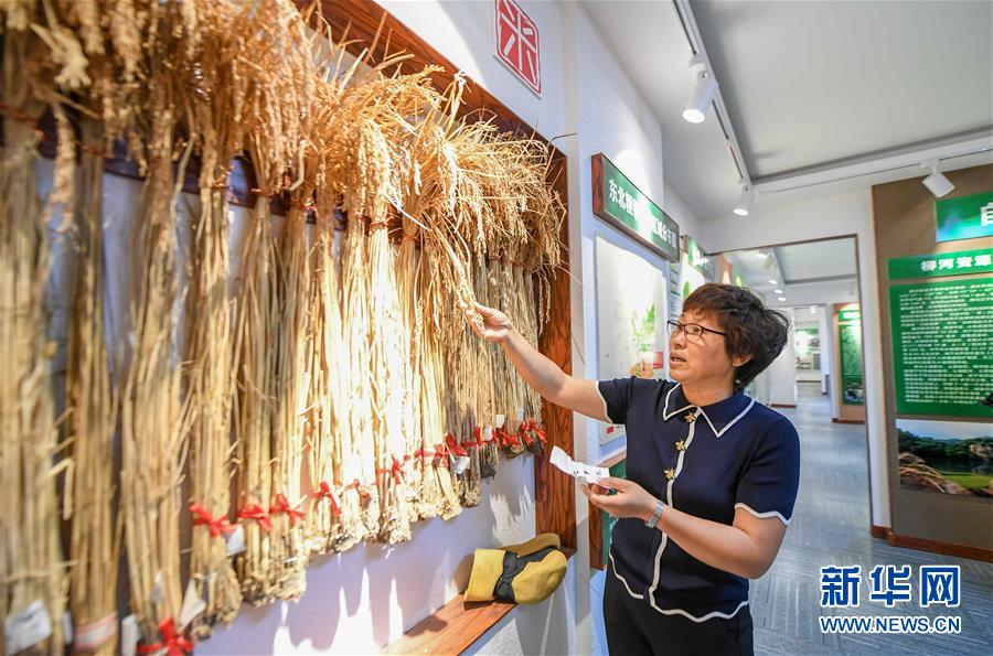 7月9日，管延麗在柳河火山巖稻米展館介紹水稻樣品。 今年53歲的管延麗是“大米姐”品牌創(chuàng)始人，她的家通化市柳河縣位于吉林省東部、長(zhǎng)白山余脈。這里地下是富含硒元素的火山巖。2011年，在相關(guān)專(zhuān)家的技術(shù)支持下，管延麗成功培育出新的富硒米品種，并于次年創(chuàng)立“大米姐”品牌。