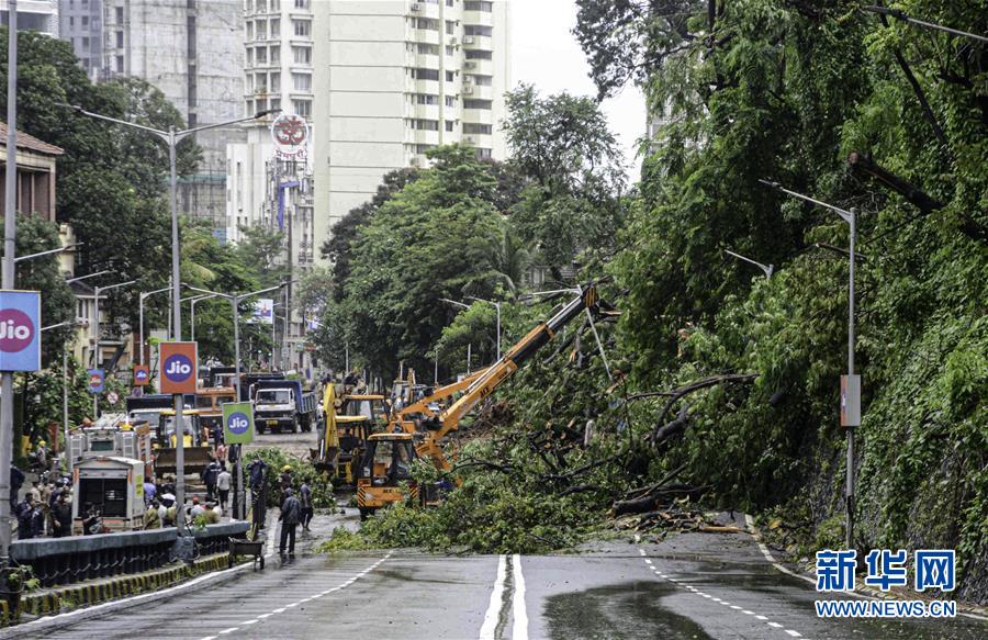 8月6日，在印度孟買，暴風(fēng)雨吹倒的樹木阻斷了道路交通。 連日來，孟買遭遇暴風(fēng)雨襲擊。 新華社發(fā)