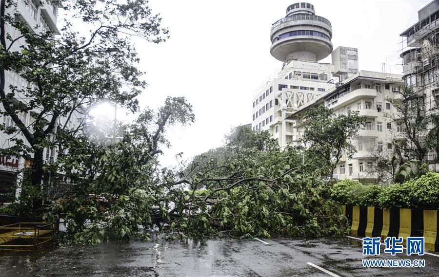 8月6日，在印度孟買，暴風(fēng)雨吹倒的樹木阻斷了道路交通。 連日來，孟買遭遇暴風(fēng)雨襲擊。 新華社發(fā)