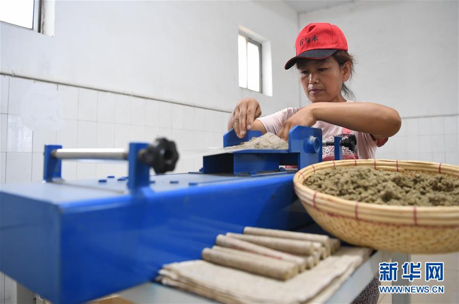 8月12日，衡水市冀州區(qū)石與木艾草文化園員工在卷制艾條。 近年來，河北省衡水市冀州區(qū)石與木艾草文化園充分挖掘中醫(yī)藥資源，打造集艾草種植、古法制艾、艾草文創(chuàng)、經(jīng)營銷售等為一體的多元化、綜合性艾文化產(chǎn)業(yè)，生產(chǎn)艾條、艾絨、艾葉包等十余種艾草產(chǎn)品，帶動農(nóng)戶實(shí)現(xiàn)增收。 新華社記者 朱旭東 攝