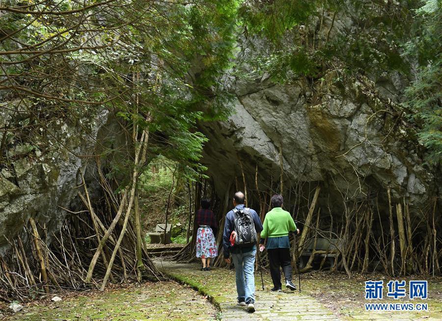 10月6日，游客在臨安區(qū)清涼峰游玩。中秋和國慶假期，不少游客來到浙江杭州臨安區(qū)的山間游玩，和大自然親密接觸。 新華社記者 翁忻旸 攝
