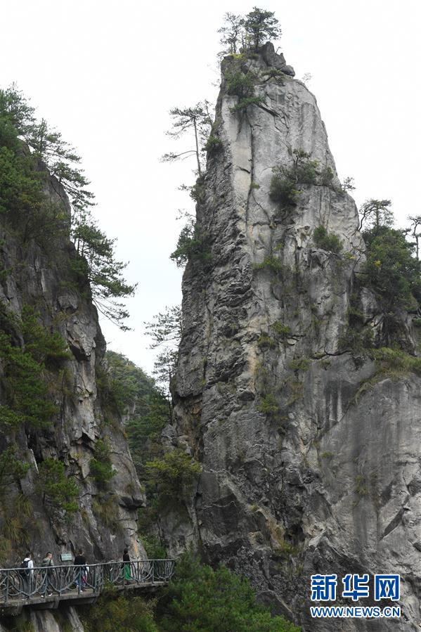 10月5日，游客在臨安區(qū)大明山景區(qū)游玩。 中秋和國慶假期，不少游客來到浙江杭州臨安區(qū)的山間游玩，和大自然親密接觸。 新華社記者 翁忻旸 攝