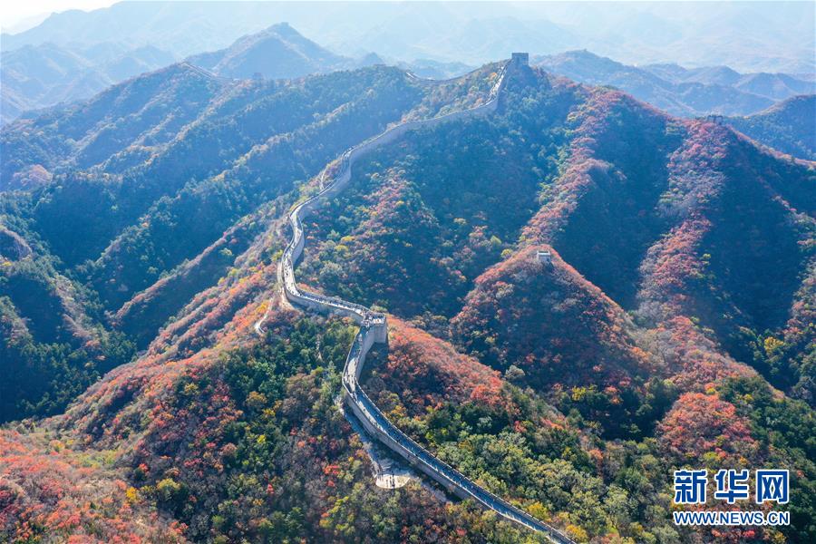 這是10月24日拍攝的八達(dá)嶺長城秋色（無人機(jī)照片）。 深秋時(shí)節(jié)，北京八達(dá)嶺長城紅葉進(jìn)入最佳觀賞期，紅葉映長城美如畫卷。 新華社記者 陳曄華 攝