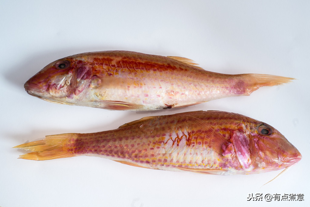 買魚時(shí)，學(xué)會(huì)這5個(gè)挑選技巧，專挑新鮮的，魚販子都夸你是行家