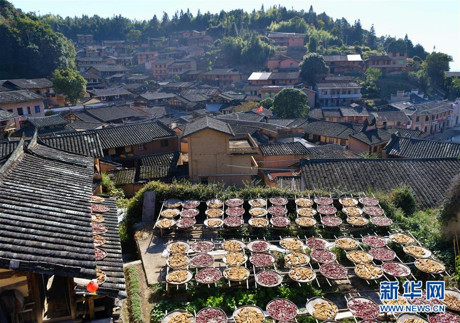 這是11月1日拍攝的桂峰村曬秋畫面。 深秋時(shí)節(jié)，位于福建省三明市尤溪縣洋中鎮(zhèn)的桂峰村，古民居與曬匾里五彩繽紛的農(nóng)作物，構(gòu)成五彩斑斕的調(diào)色板，展現(xiàn)秋收風(fēng)情。 新華社記者魏培全攝