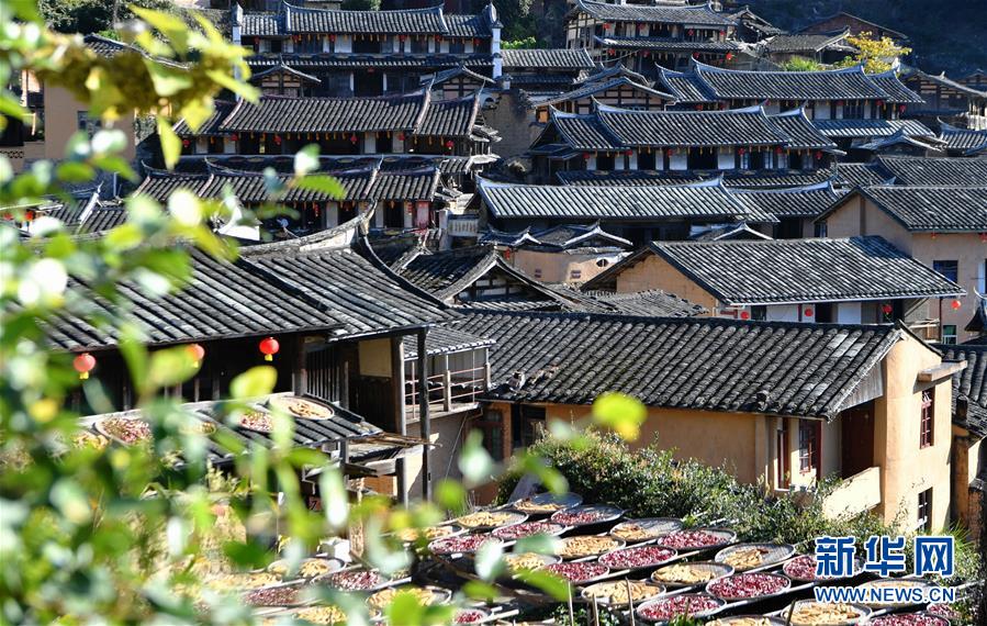 這是11月1日拍攝的桂峰村村貌。 深秋時(shí)節(jié)，位于福建省三明市尤溪縣洋中鎮(zhèn)的桂峰村，古民居與曬匾里五彩繽紛的農(nóng)作物，構(gòu)成五彩斑斕的調(diào)色板，展現(xiàn)秋收風(fēng)情。 新華社記者魏培全攝