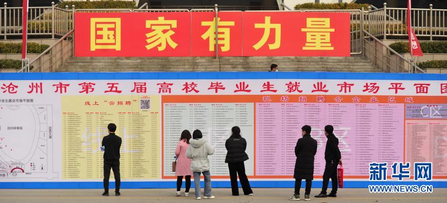 11月14日，求職者觀看招聘單位區(qū)域分布圖。當日，河北省滄州市第五屆高校畢業(yè)生就業(yè)市場在滄州市體育場舉辦。本次活動采取線下“精準對接”與線上“云招聘”相結(jié)合的模式，500家用人單位提供崗位13000余個，達成就業(yè)意向近萬人次，就業(yè)范圍涵蓋機械電子、職業(yè)教育、土建、園林等行業(yè)。新華社發(fā)（苑立偉 攝）