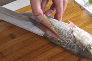 教你一招去魚刺 吃魚什么的很簡(jiǎn)單