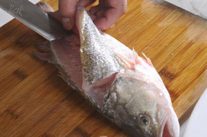 教你一招去魚刺 吃魚什么的很簡(jiǎn)單