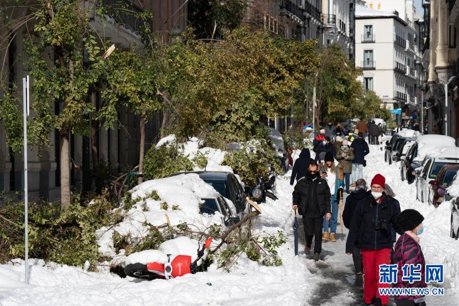 1月10日，在西班牙馬德里市中心，被雪壓斷的樹枝砸在路邊停放的車輛上。西班牙內(nèi)政大臣馬拉斯卡10日說，風(fēng)暴“菲洛梅娜”帶來的暴雪和寒冷天氣造成西班牙4人死亡。在受影響最為嚴(yán)重的中部和東部，部分地區(qū)積雪厚度接近50厘米；許多樹木被積雪壓倒，一些道路被阻斷；大量運(yùn)輸車滯留在公路上。西班牙交通大臣阿瓦洛斯表示，9日交通陷入癱瘓的馬德里已于10日恢復(fù)部分長途鐵路運(yùn)輸服務(wù)。新華社記者 孟鼎博 攝