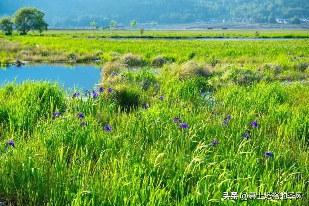 云南這6個隱世古村，游人少原生態(tài)古風古韻，你去過幾個？