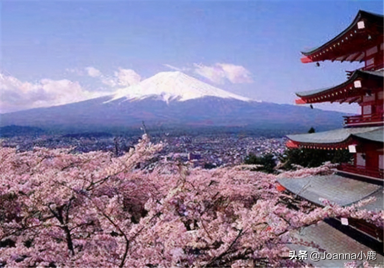 日本八大早櫻景區(qū)，哪些地方最適合欣賞櫻花？