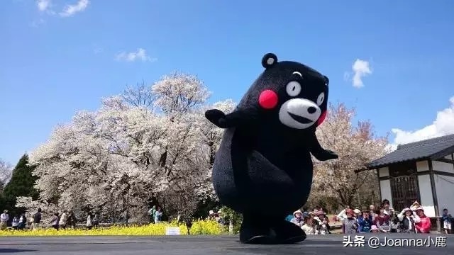日本八大早櫻景區(qū)，哪些地方最適合欣賞櫻花？