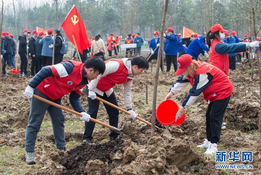 　　3月10日，在合肥濱湖國家森林公園，志愿者在種植杉樹苗?！　‘?dāng)日，由共青團安徽省委員會、安徽省林業(yè)局主辦的“青春心向黨 踐行林長制”植樹公益活動在合肥濱湖國家森林公園啟動，近300名市民、志愿者響應(yīng)“綠色征集令”的號召，共赴森林公園種下杉樹苗200余棵，在綠化自然環(huán)境的同時，傳播綠色、低碳的生活理念?！　⌒氯A社記者 杜宇 攝