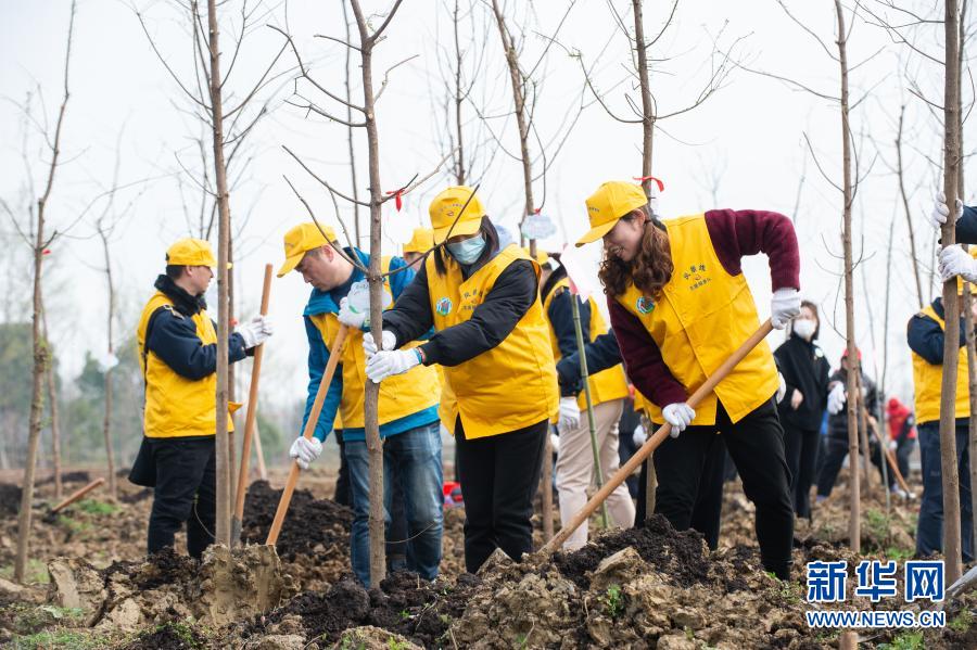　　3月10日，在合肥濱湖國家森林公園，志愿者在種植杉樹苗?！　‘?dāng)日，由共青團安徽省委員會、安徽省林業(yè)局主辦的“青春心向黨 踐行林長制”植樹公益活動在合肥濱湖國家森林公園啟動，近300名市民、志愿者響應(yīng)“綠色征集令”的號召，共赴森林公園種下杉樹苗200余棵，在綠化自然環(huán)境的同時，傳播綠色、低碳的生活理念?！　⌒氯A社記者 杜宇 攝