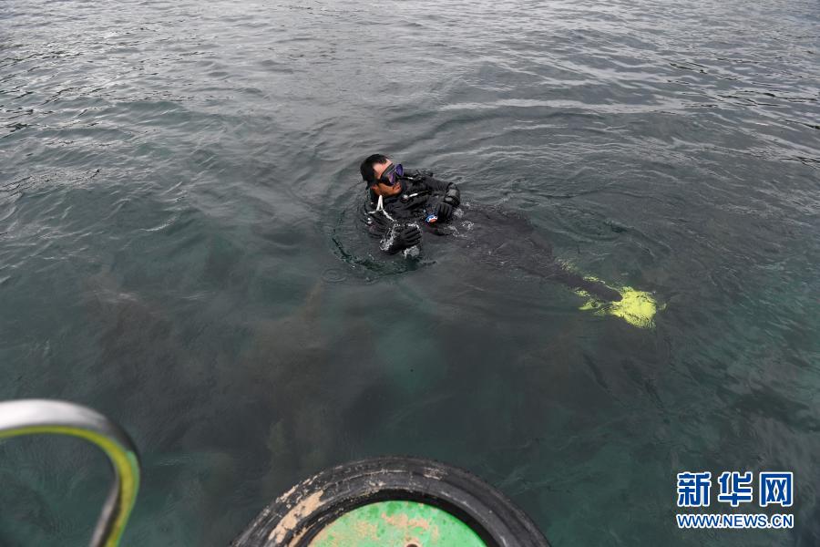　　3月21日，志愿者在深圳大鵬金沙灣海域準備潛水扶植珊瑚?！　‘斕焓鞘澜缟秩眨瑏碜陨钲诘闹驹刚咴谏钲诖簌i金沙灣海域舉行“珊瑚扶植”活動。來自各行各業(yè)的10名志愿者下海清理垃圾，收集珊瑚殘肢并固定在特定區(qū)域的苗圃上。未來，這些珊瑚穩(wěn)定成長并恢復生機后，將會被放回海底的礁石上，此次活動旨在呼吁更多人關(guān)注“海底森林”——珊瑚礁，加強公眾對海洋生態(tài)的保護意識?！　⌒氯A社記者 毛思倩 攝
