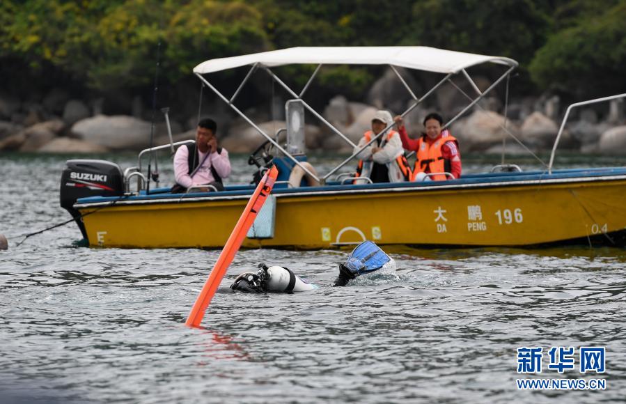 　　3月21日，志愿者在深圳大鵬金沙灣海域扶植珊瑚。　　當天是世界森林日，來自深圳的志愿者在深圳大鵬金沙灣海域舉行“珊瑚扶植”活動。來自各行各業(yè)的10名志愿者下海清理垃圾，收集珊瑚殘肢并固定在特定區(qū)域的苗圃上。未來，這些珊瑚穩(wěn)定成長并恢復生機后，將會被放回海底的礁石上，此次活動旨在呼吁更多人關(guān)注“海底森林”——珊瑚礁，加強公眾對海洋生態(tài)的保護意識?！　⌒氯A社記者 毛思倩 攝