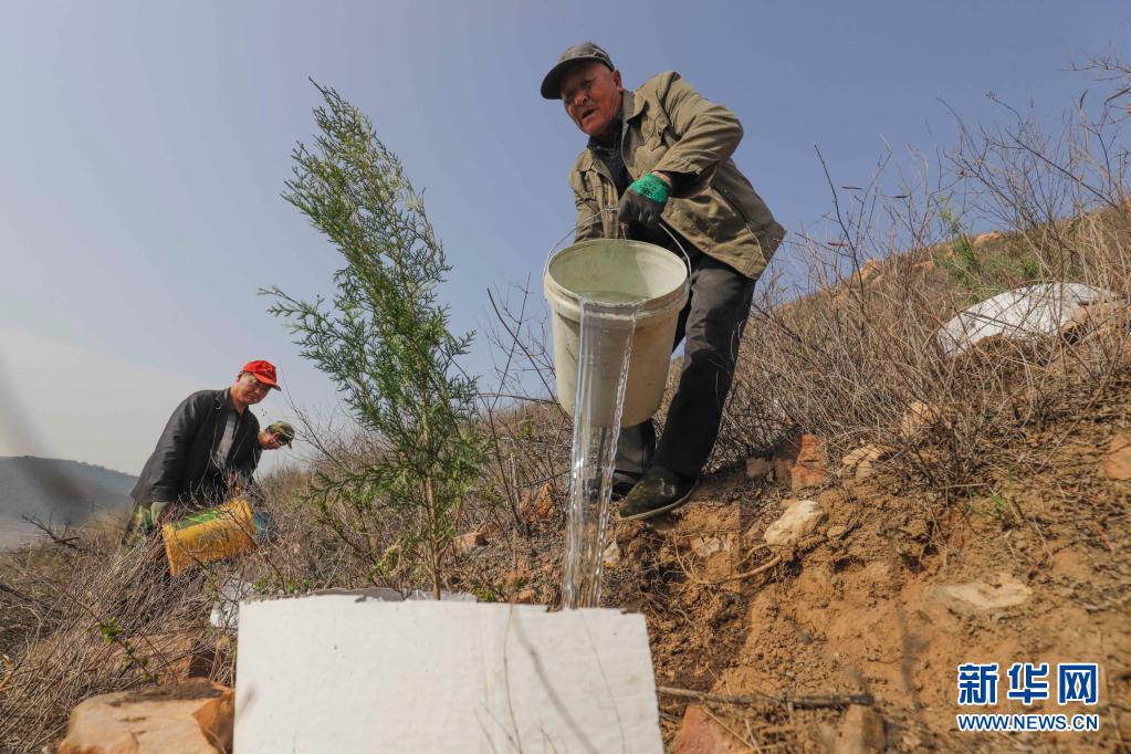 　　3月31日，造林隊員在河北省遵化市石門鎮(zhèn)金星山給新栽的樹苗澆水。　　仲春時節(jié)，河北省遵化市提前開始今年的荒山造林，造林隊員們忙著運送樹苗、栽樹、澆水。遵化市今年計劃完成荒山造林5萬多畝?！　⌒氯A社發(fā)（劉滿倉 攝）