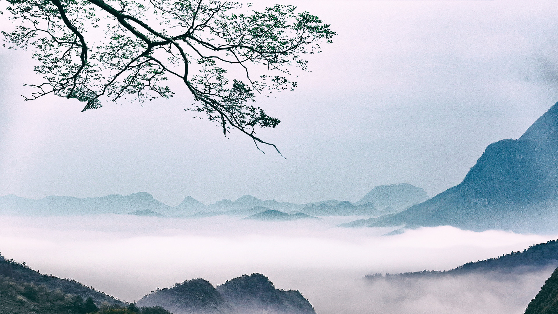 一個(gè)真正內(nèi)心強(qiáng)大的人，往往看上去“不合群”，別小瞧