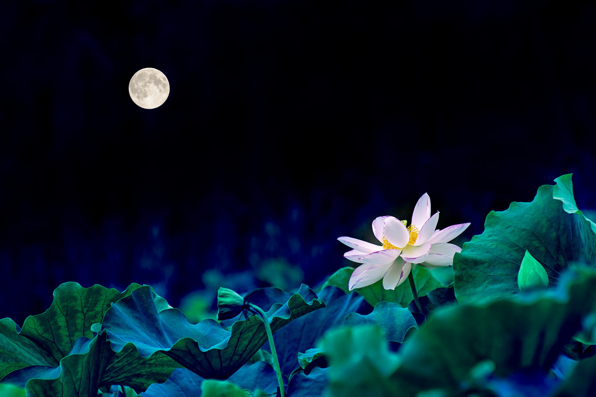 一個(gè)真正內(nèi)心強(qiáng)大的人，往往看上去“不合群”，別小瞧