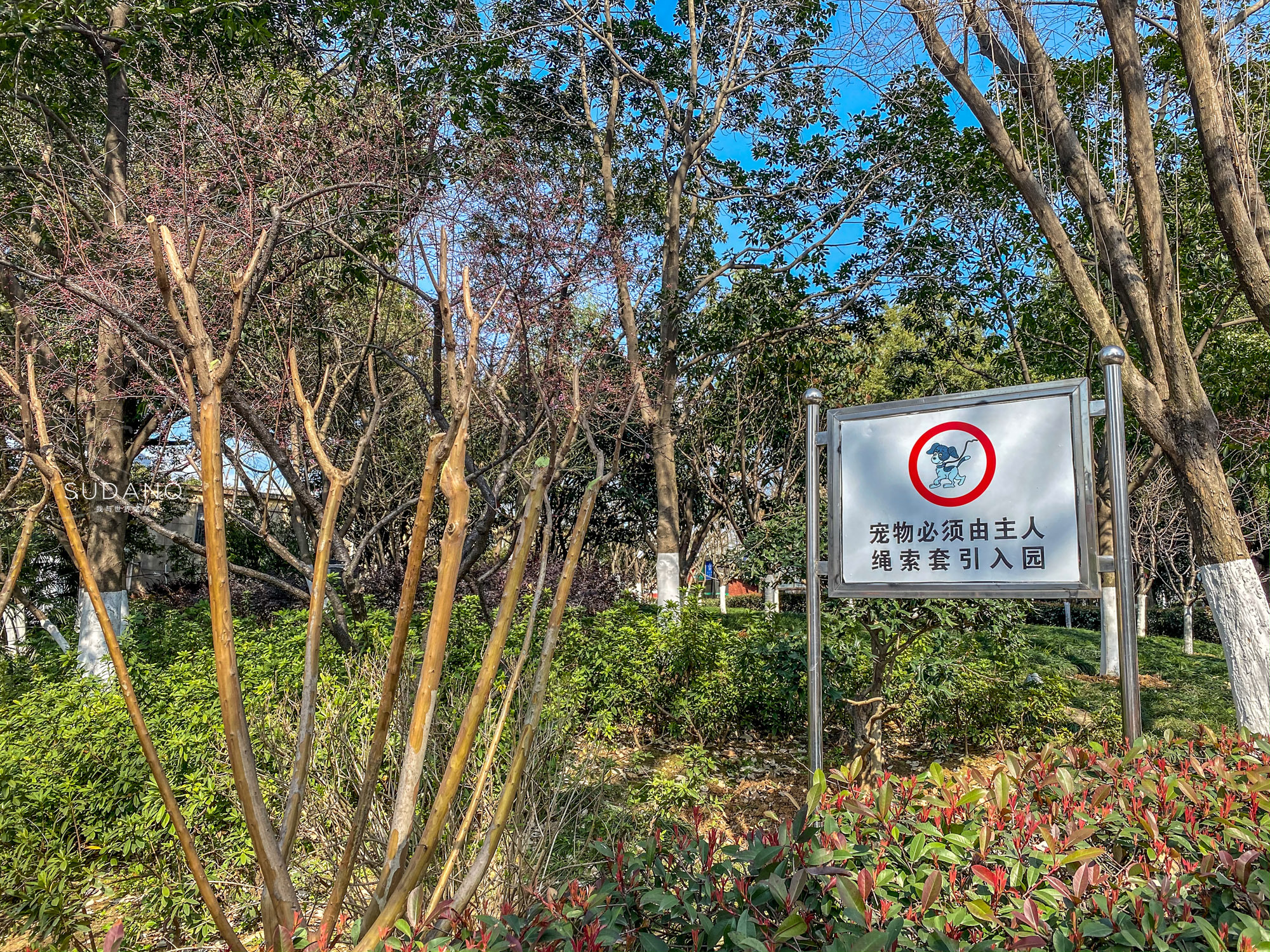 武漢這座古塔相傳是“鎮(zhèn)龍”之物、沒有影子，“江南龍脈”有玄機(jī)