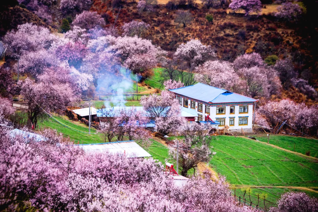 適合一去再去的旅行清單，去過(guò)忘不了戒不掉