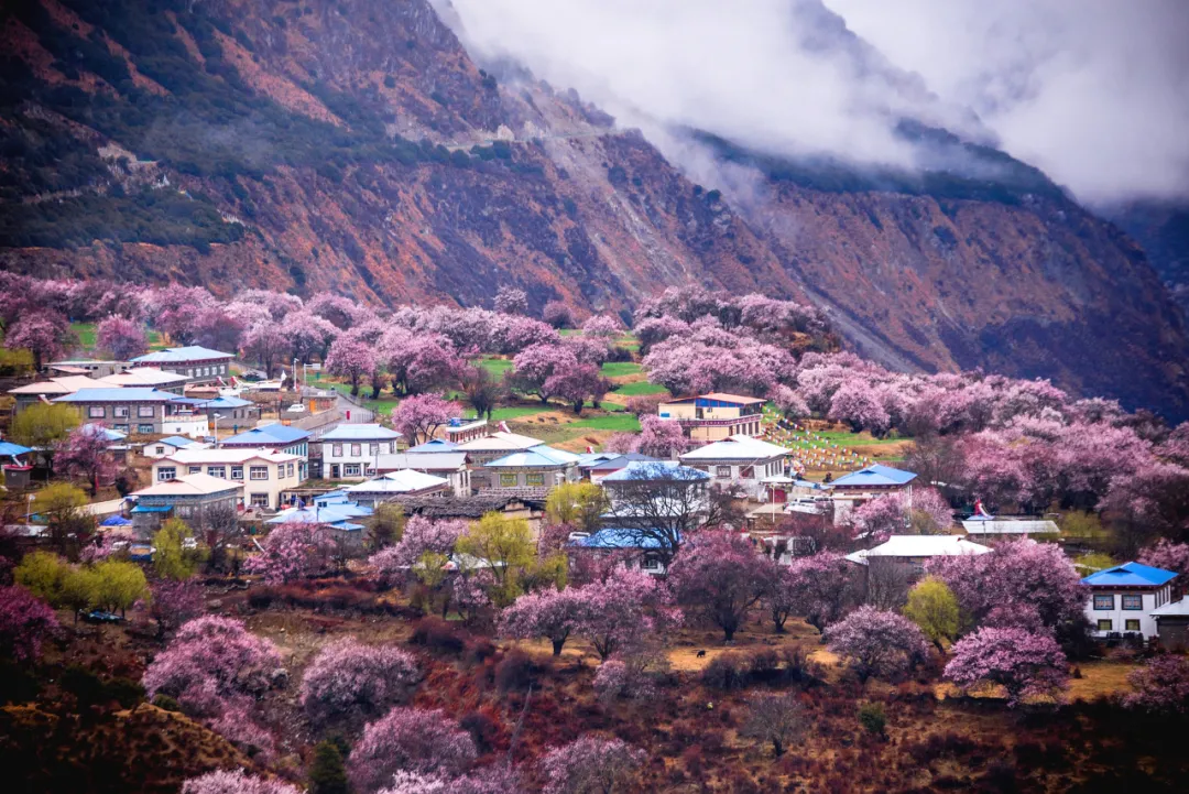 適合一去再去的旅行清單，去過(guò)忘不了戒不掉