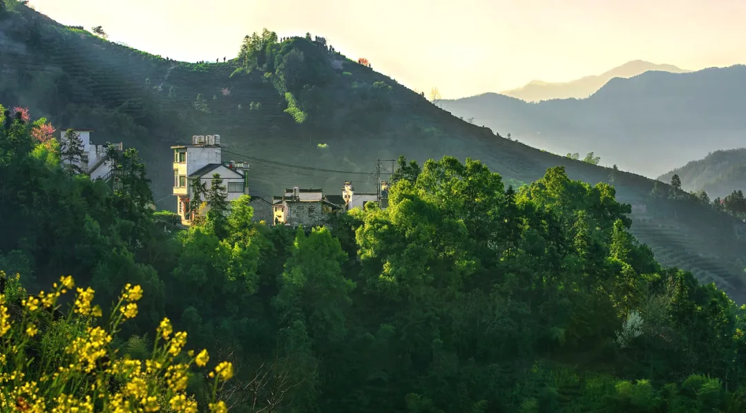 適合一去再去的旅行清單，去過(guò)忘不了戒不掉