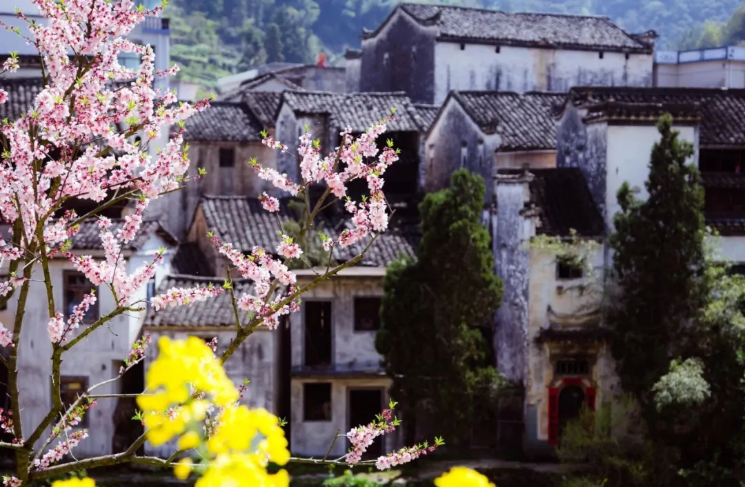 適合一去再去的旅行清單，去過(guò)忘不了戒不掉