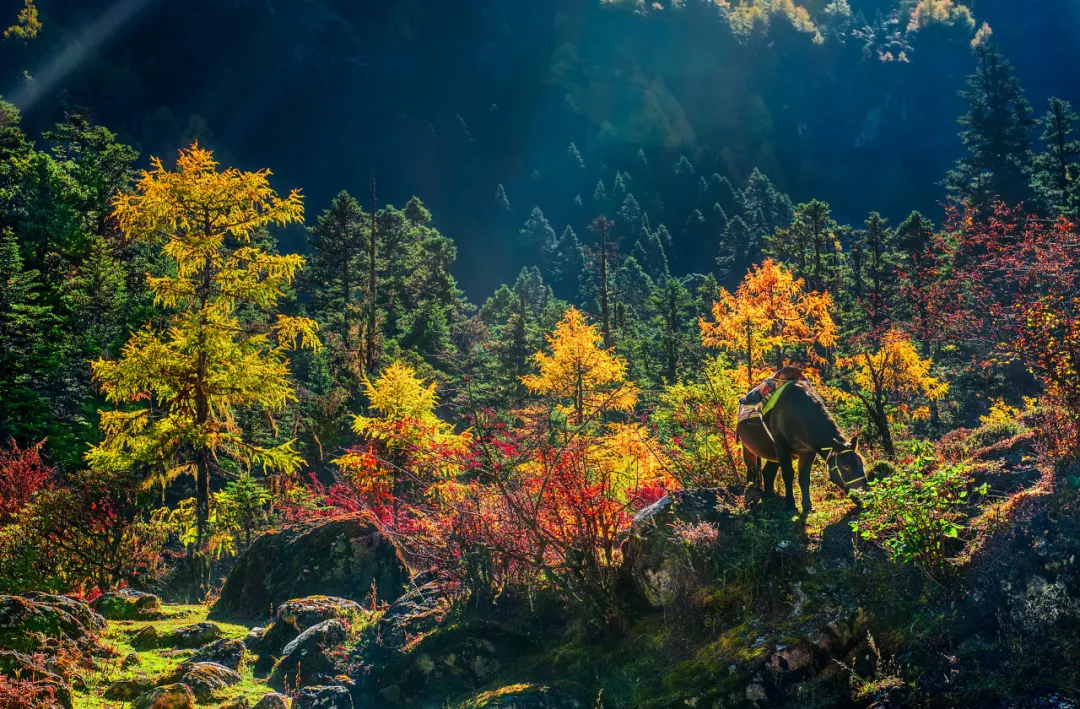 適合一去再去的旅行清單，去過(guò)忘不了戒不掉