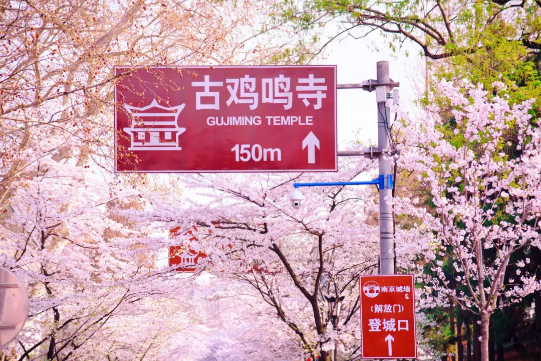 適合一去再去的旅行清單，去過(guò)忘不了戒不掉