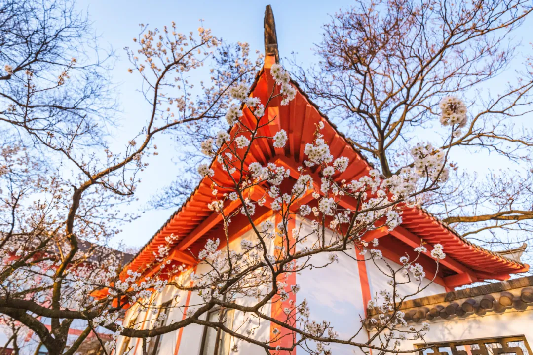 適合一去再去的旅行清單，去過(guò)忘不了戒不掉