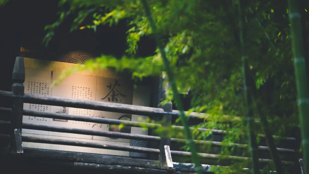 適合一去再去的旅行清單，去過(guò)忘不了戒不掉