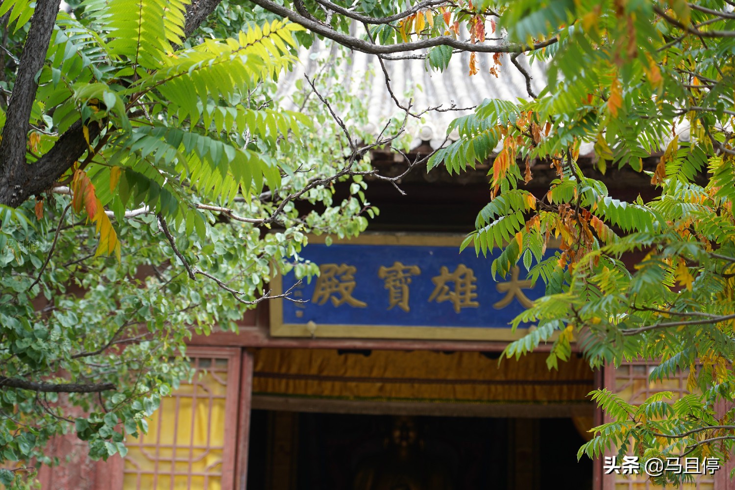 山西純木打造的千年古塔，比雷峰塔古樸，看點(diǎn)豐富為何游客不多？