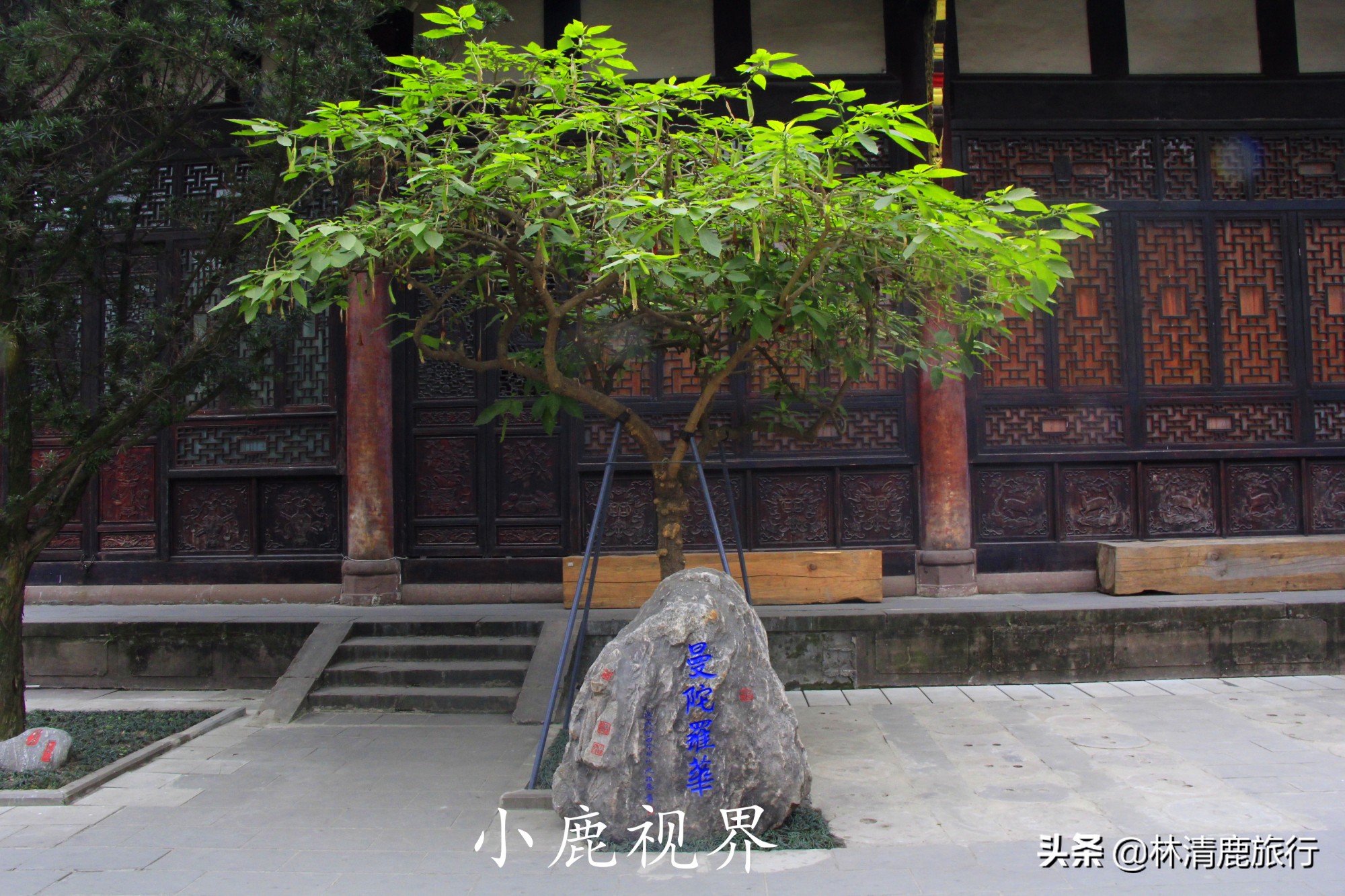 成都第一大寺廟，香火旺盛沒門票，唐僧在此受戒